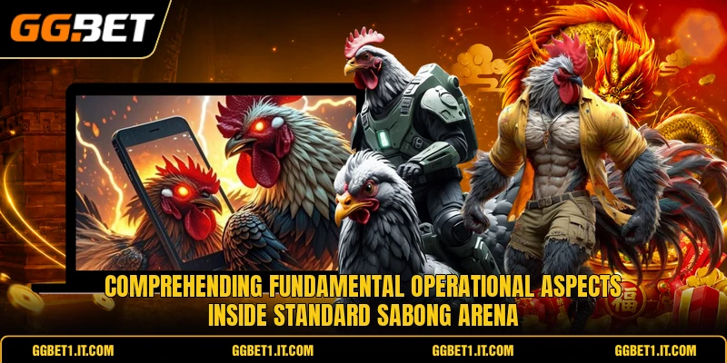 Comprehending fundamental operational aspects inside standard sabong arena Comprehending fundamental operational aspects inside standard sabong arena