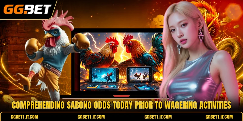 Comprehending sabong odds today prior to wagering activities