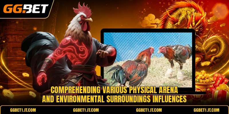 Comprehending various physical arena and environmental surroundings influences Comprehending various physical arena and environmental surroundings influences