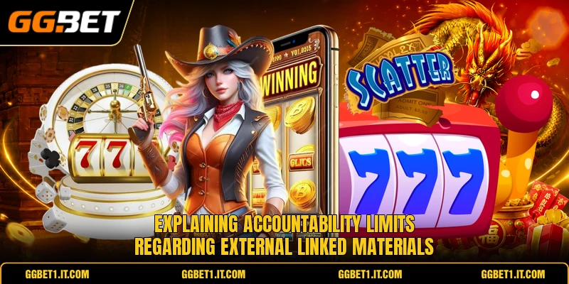 Explaining accountability limits regarding external linked materials