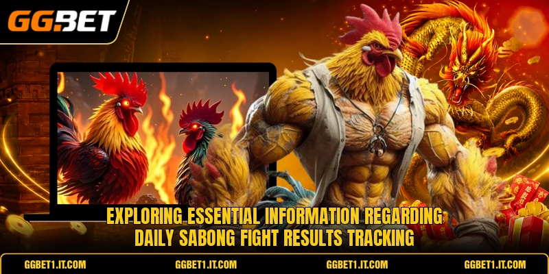 Exploring essential information regarding daily sabong fight results tracking Exploring essential information regarding daily sabong fight results tracking