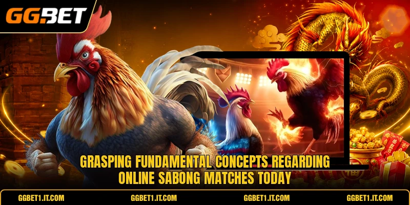Grasping fundamental concepts regarding online sabong matches today Grasping fundamental concepts regarding online sabong matches today