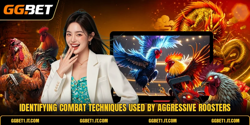 Identifying combat techniques used by aggressive roosters