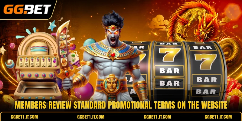Members review standard promotional terms on the website