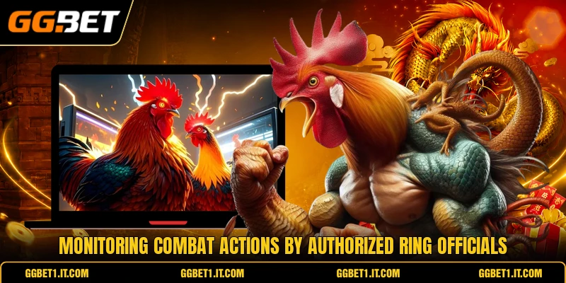Monitoring combat actions by authorized ring officials