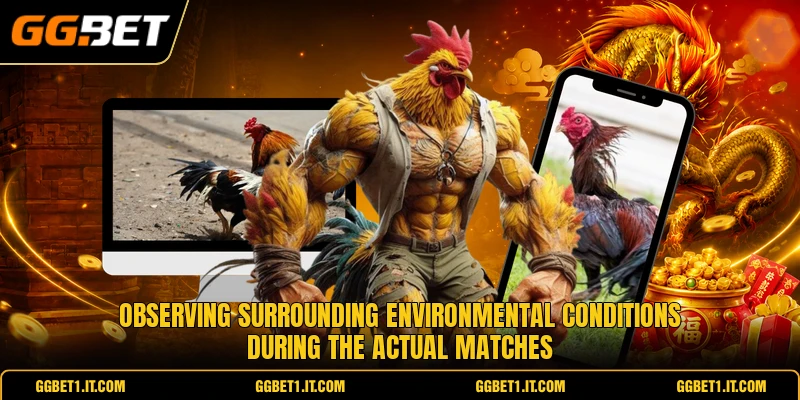 Observing surrounding environmental conditions during the actual matches