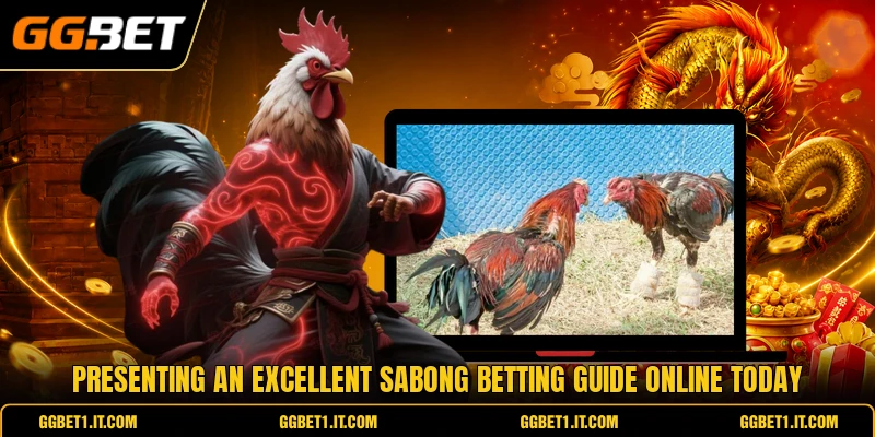 Presenting an excellent sabong betting guide online today Presenting an excellent sabong betting guide online today