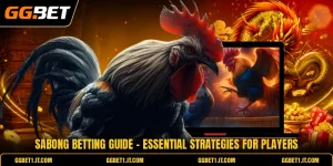 Sabong Betting Guide - Essential Strategies For Players
