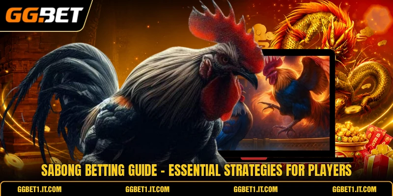 Sabong Betting Guide - Essential Strategies For Players