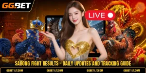 Sabong Fight Results - Daily Updates And Tracking Guide