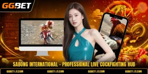 Sabong International - Professional Live Cockfighting Hub